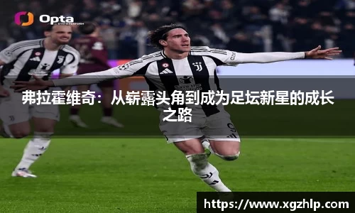 弗拉霍维奇：从崭露头角到成为足坛新星的成长之路